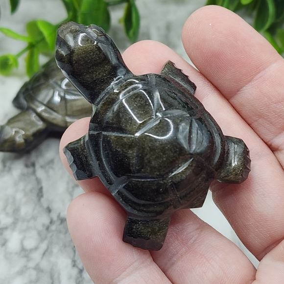 - Mexican Sheen Obsidian Turtle - Picture 4 of 5
